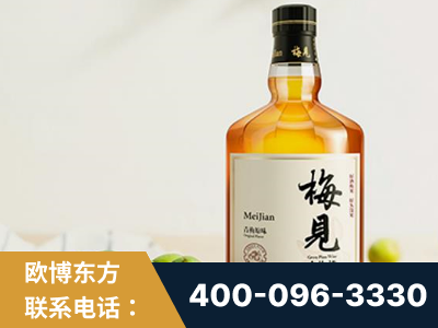 马鞍山-梅见青梅酒